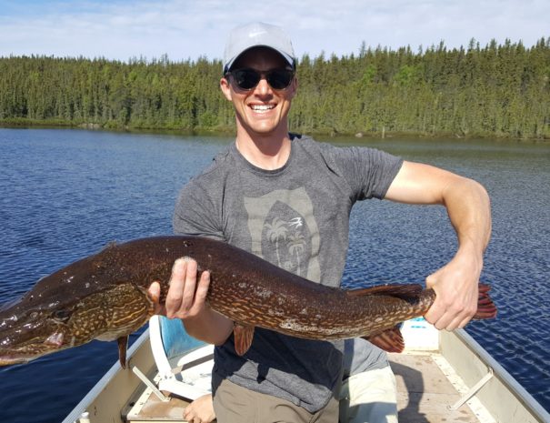 Jon-41-inch-Pike