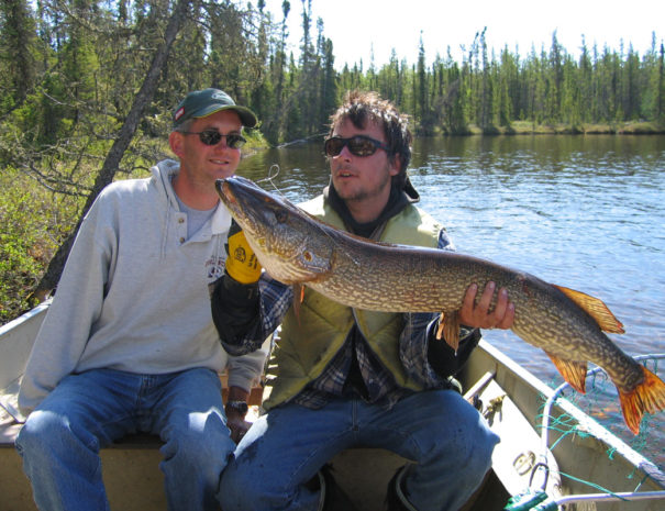 trophy_2